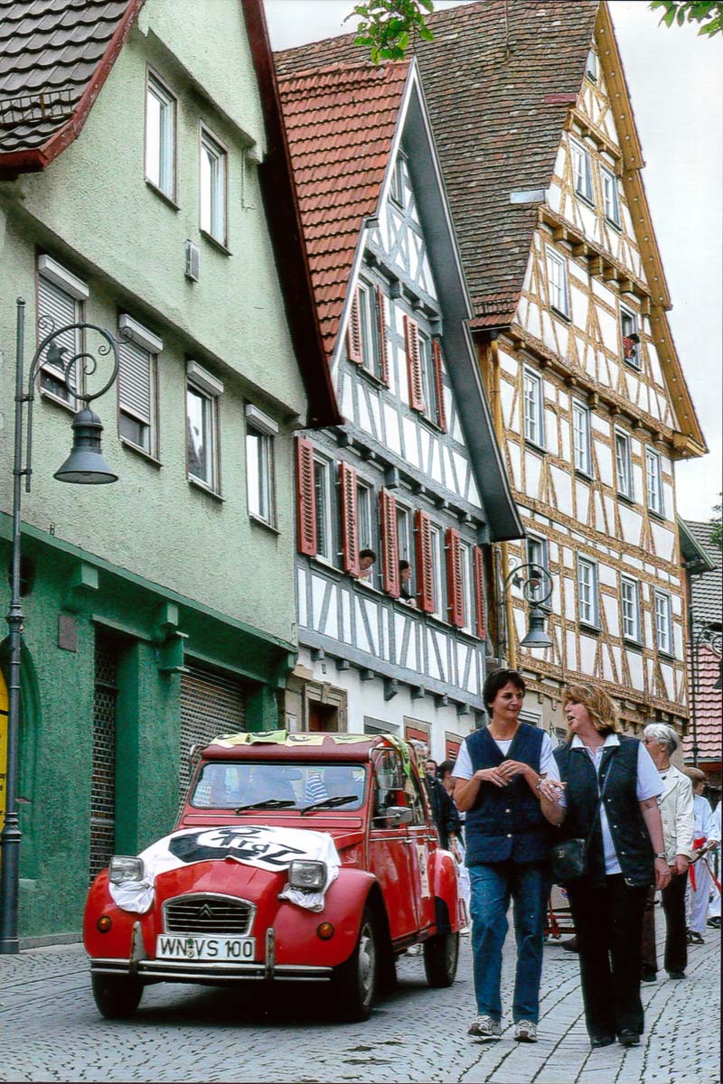 Festumzug 100Jahre Städisches Orchester - Ente 2 Festumzug 100Jahre Städisches Orchester